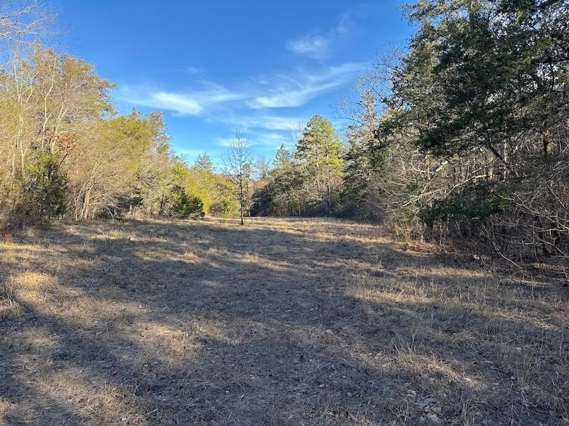 DJI_20260211_154454_140