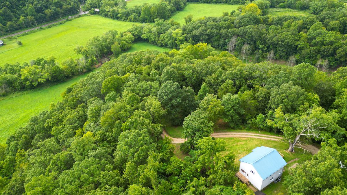 Small Acreage With Home, Large Yard And Timber Near Hamlin Whitetail