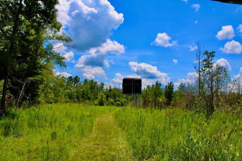 512063D3-8FA9-46E5-875B-B16FB539273C_1_201_a