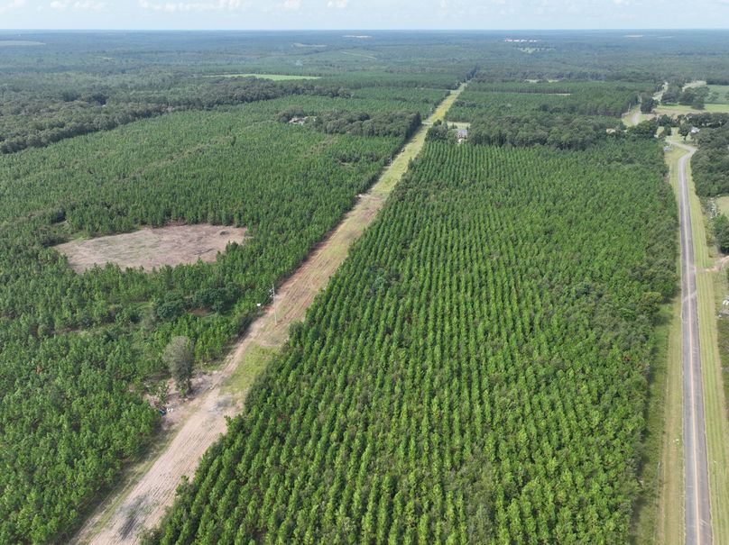 dji_fly_20230905_114046_629_1693928735344_photo