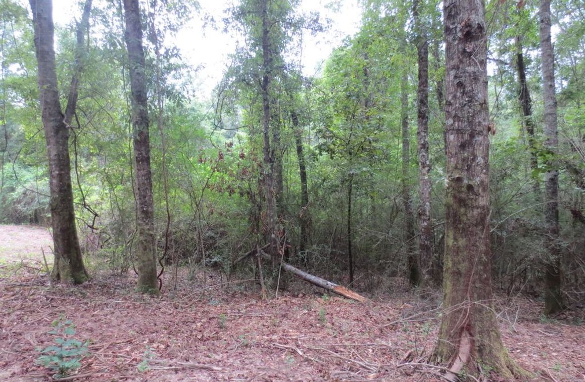 4F988309-5EAC-4A04-8400-D58F723383C7_1_105_c