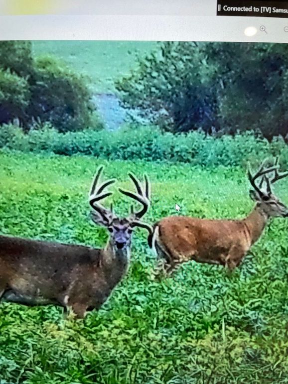 65067824221__8C0A67E2-E2FB-49EE-A18D-6467A2044F9F