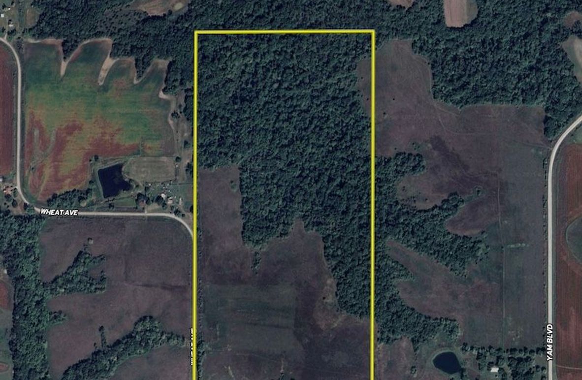1-Aerial