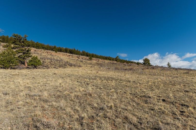 Park Co 3.0 Land Buff LLC - 010 Property