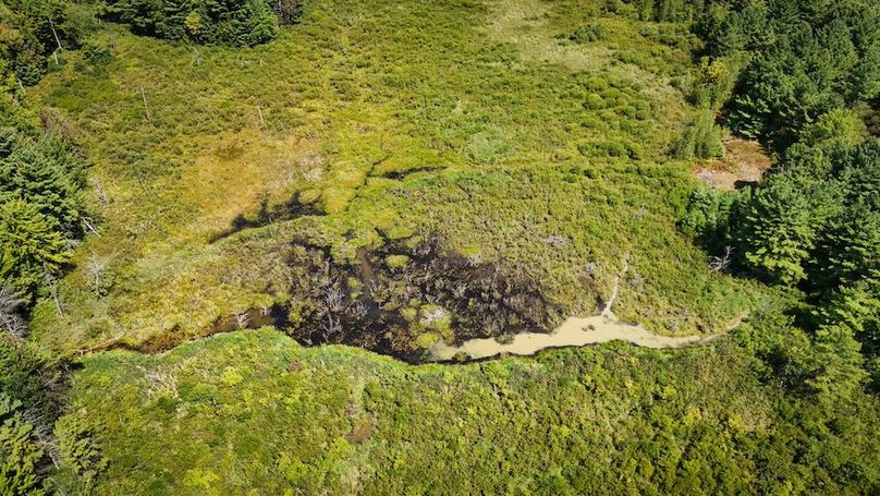 Jefferson NY 195.6 Parker Photos 30