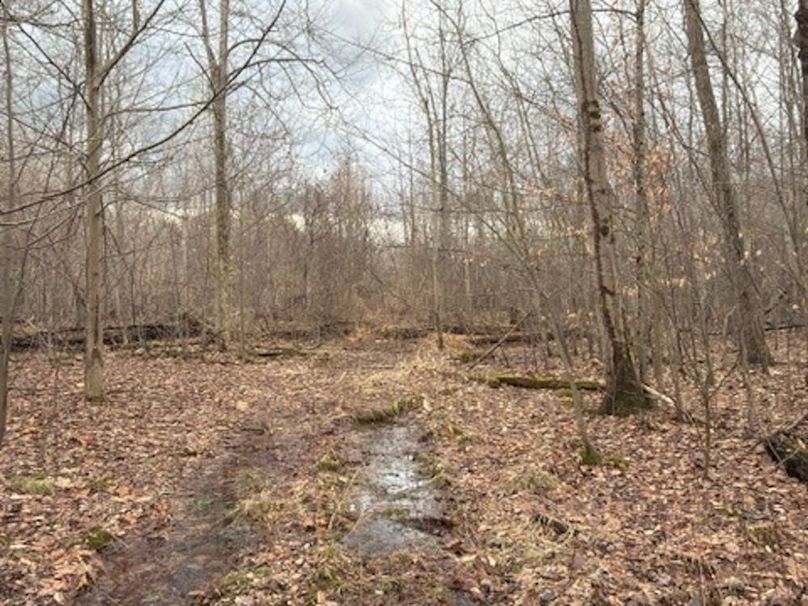 8BBF9F9F-4E2F-4EA9-ACF4-16D02258AEB6_4_5005_c