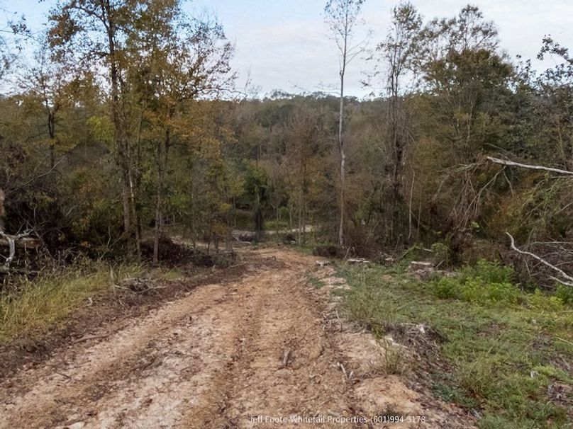 Claiborne Co-189-Geronimo-40