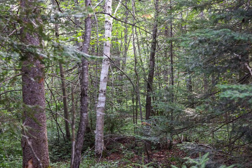 Mackinac20Fewins-6069