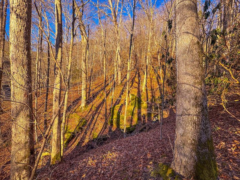 Calhoun, WV 136 AC Szegi-241