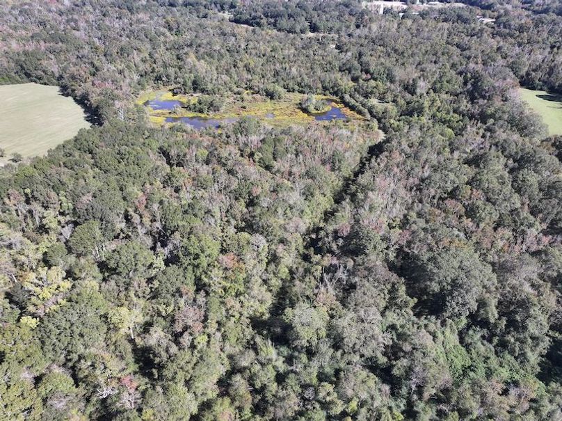 dji_fly_20251103_133720_0687_1762362218703_photo