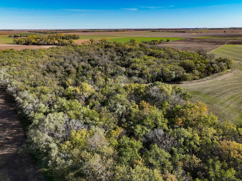 Dickinson Co, 154.5_025