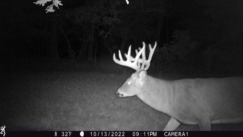 Sauk 174 Trailcam - 39