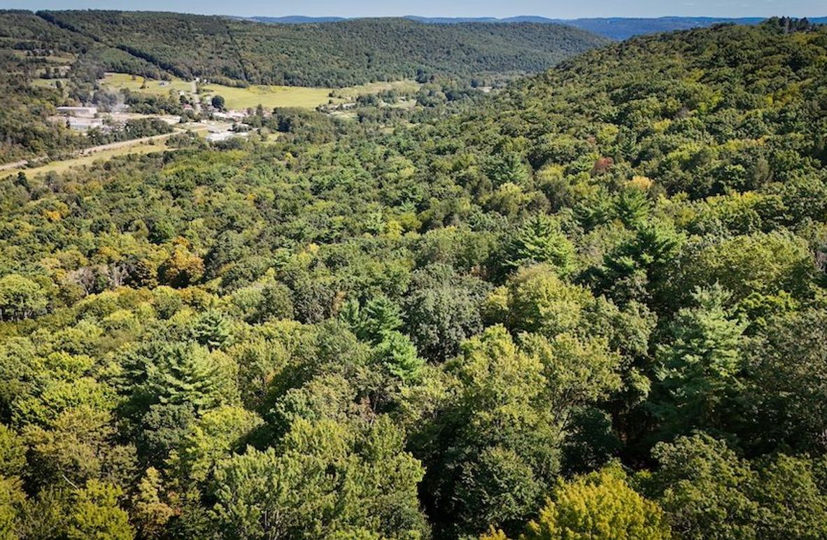 DJI_20250909145152_0481_D