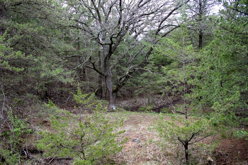 Washington, Co, 83.3_029