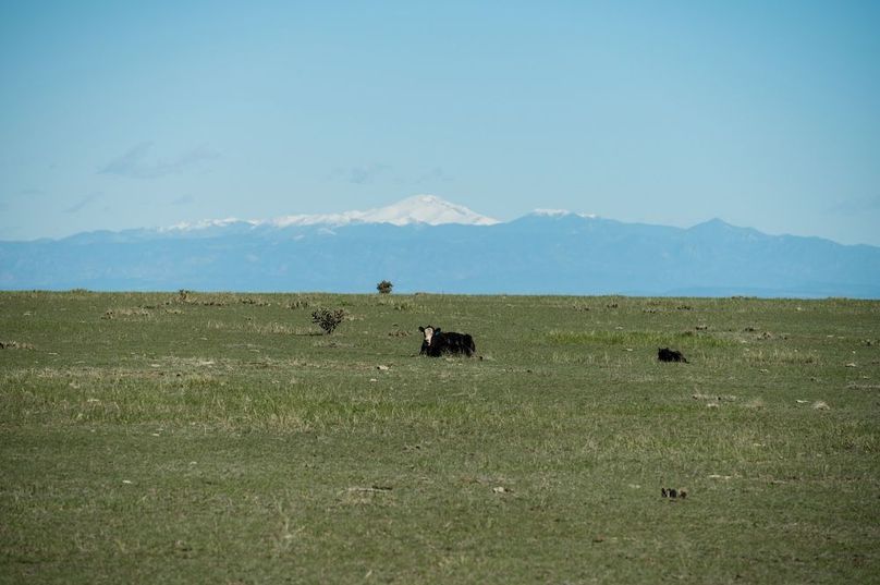 Peublo CO 40.27 Spinuzzi - 09 Grazing Lease