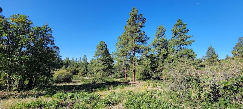 Copy of 20210827_090902