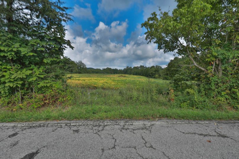 008 second entrance from loer rock lick rd
