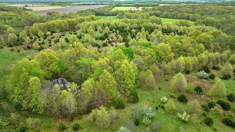 DJI_0273