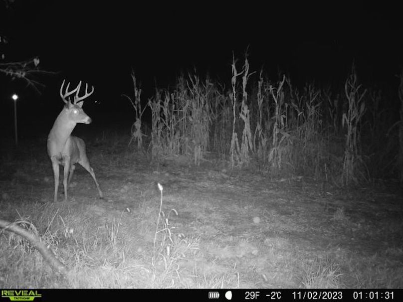 860322064829176-30-4-11022023010130-V-W1005831