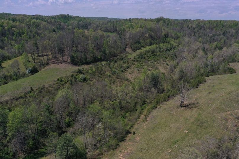 008 Aerial view showing a great mix of open ground, timber, and natural draws