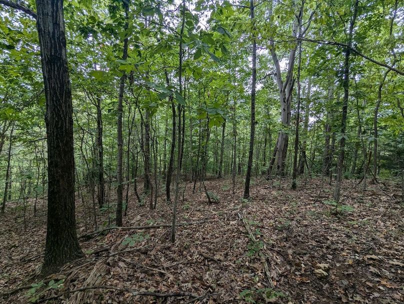 PXL_20240819_151408088