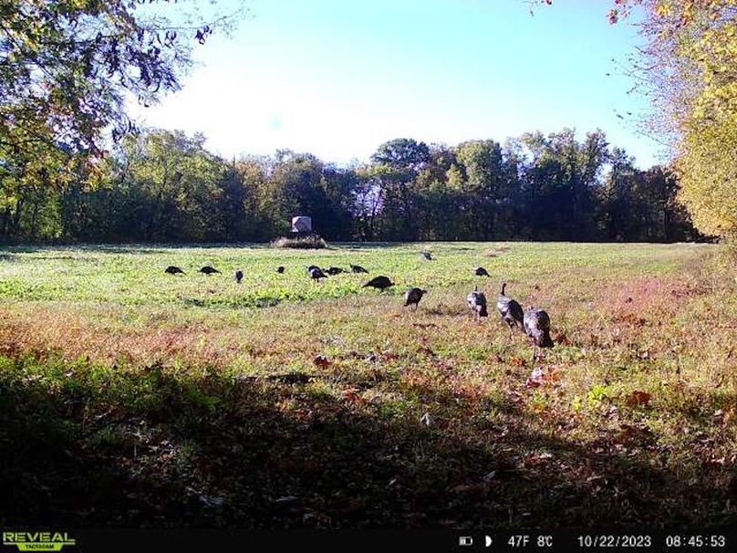 8073dec0-e7c6-4348-b3d6-44d6448d1ae7