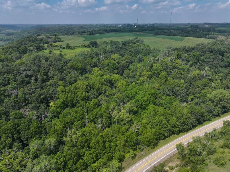 Goodhue 78.81 New -15