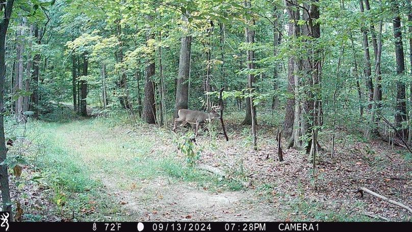 Trail Cam.14