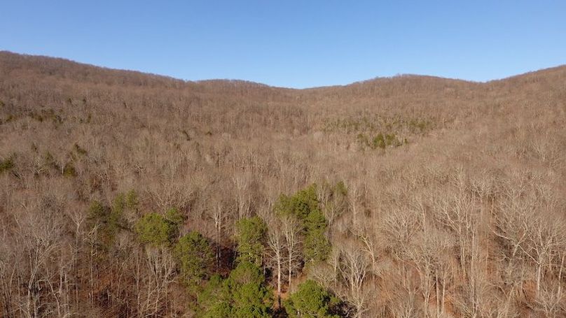 DJI_0517