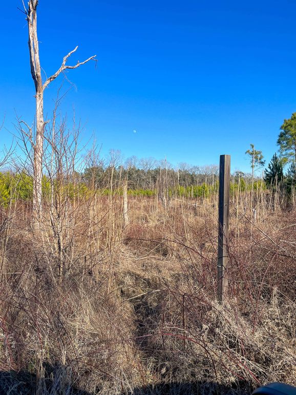 Pender NC 382 - Edits-63