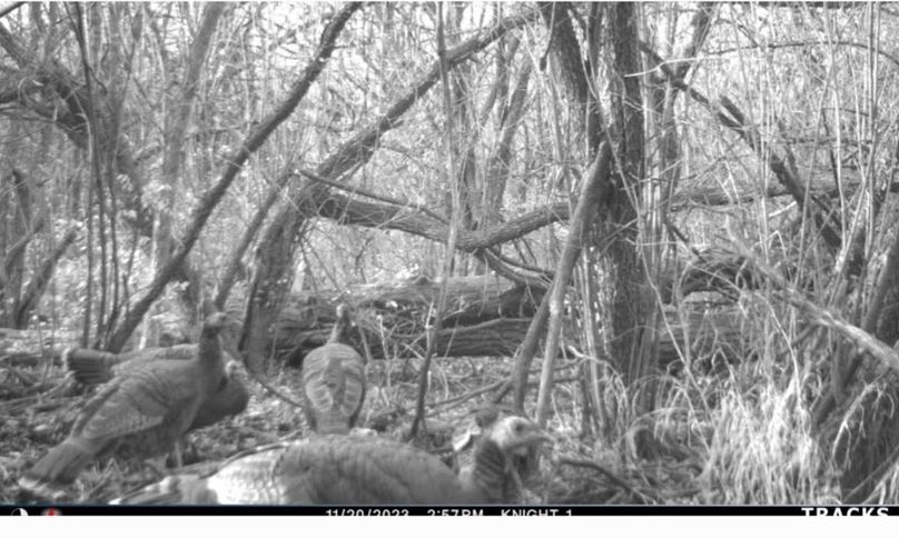 Screenshot_20240319_111135_Gallery