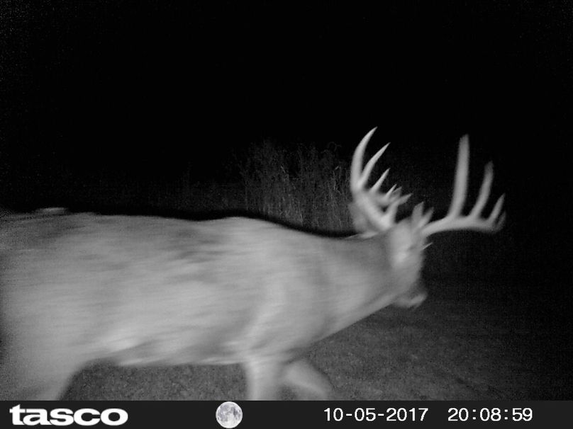 5654A9D3-D982-451F-B4F1-64E106591765~photo copy