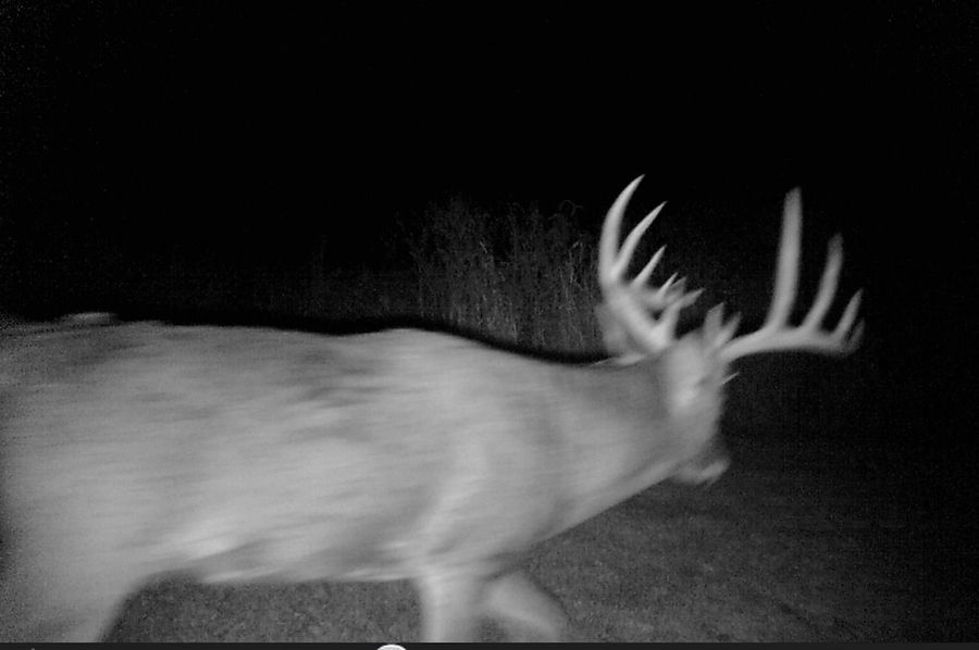 5654A9D3-D982-451F-B4F1-64E106591765~photo copy