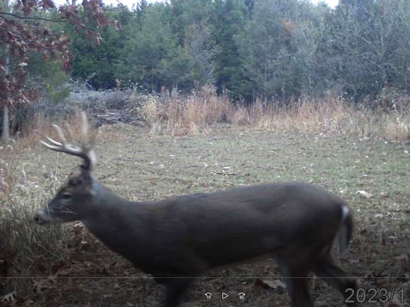 Screenshot 2024-03-02 133311