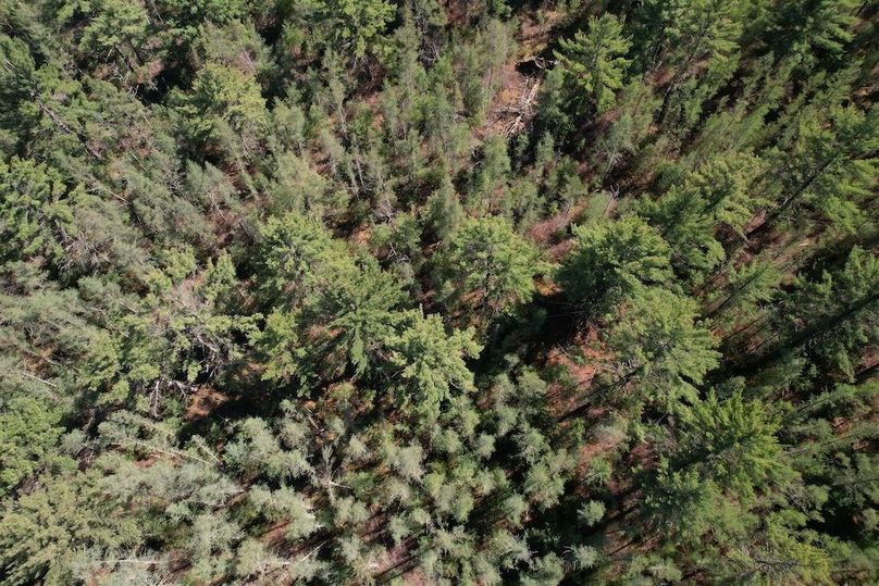 DJI_0079