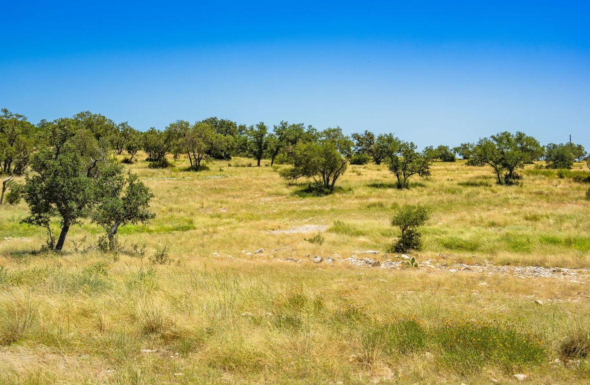 2-web-or-mls-DSC08582