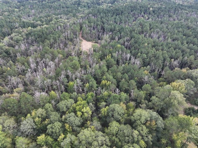 dji_fly_20251001_145416_0633_1759492684903_photo