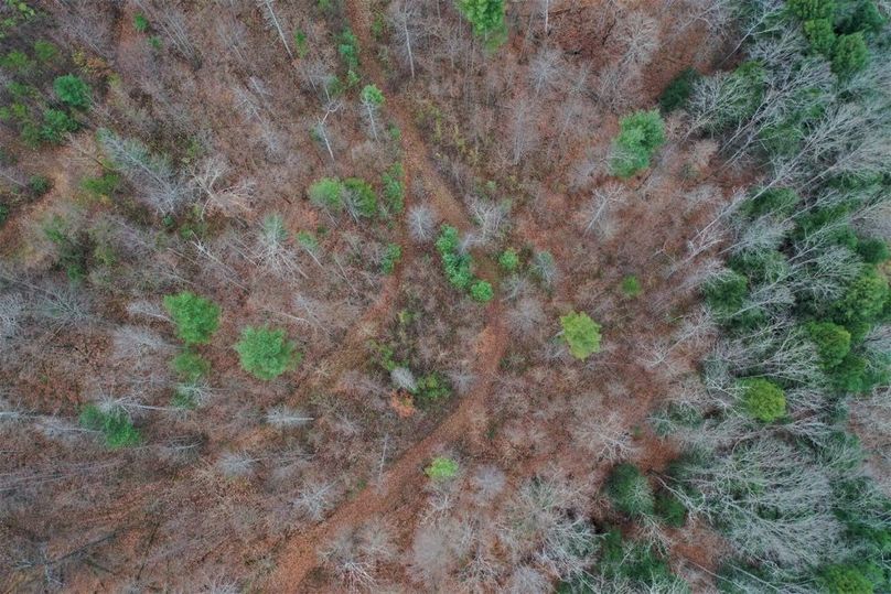 010 cool aerial shot straight down in the center of the property