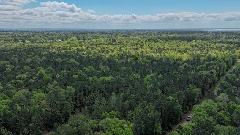 DJI_20260327120214_0062_D