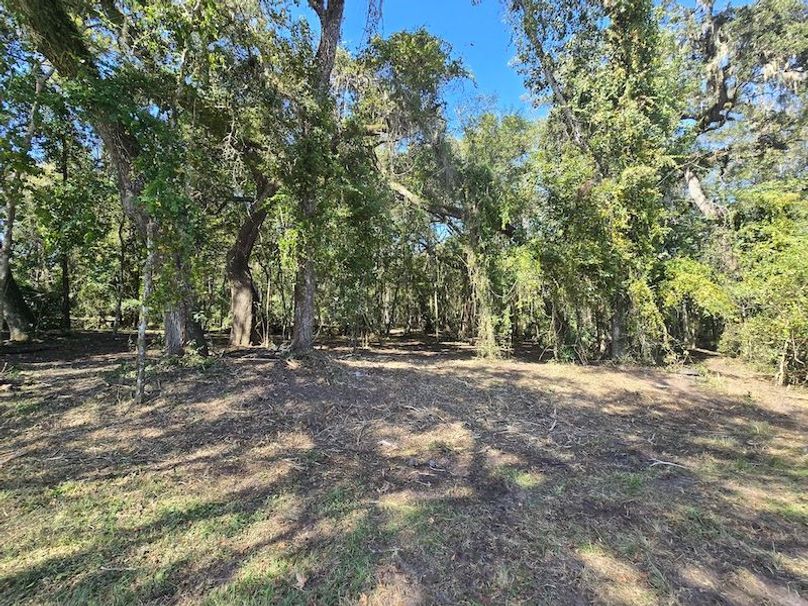 7.8ac, Citrus, Andrew Goering06