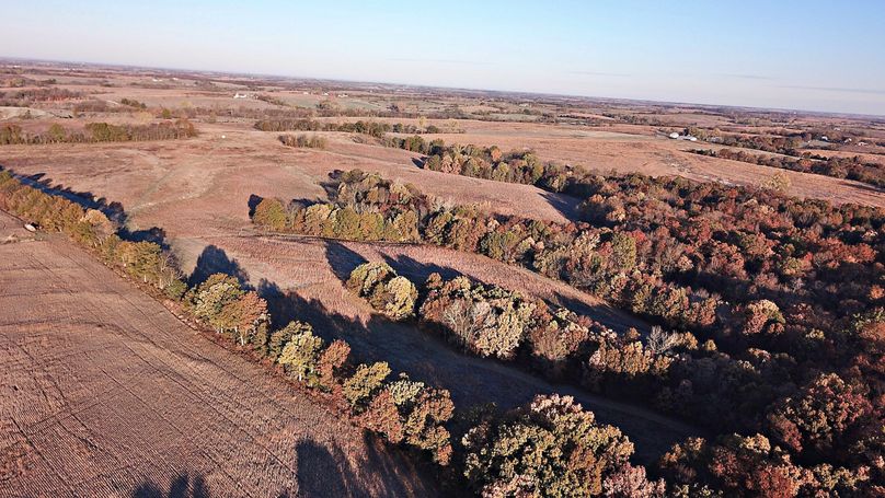 DJI_0903