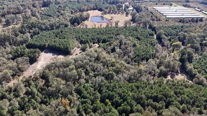 DJI_20251106033723_0850_D