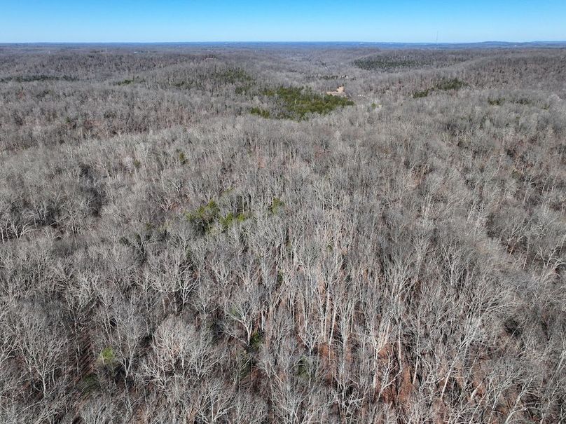 DJI_20251219113946_0891_D