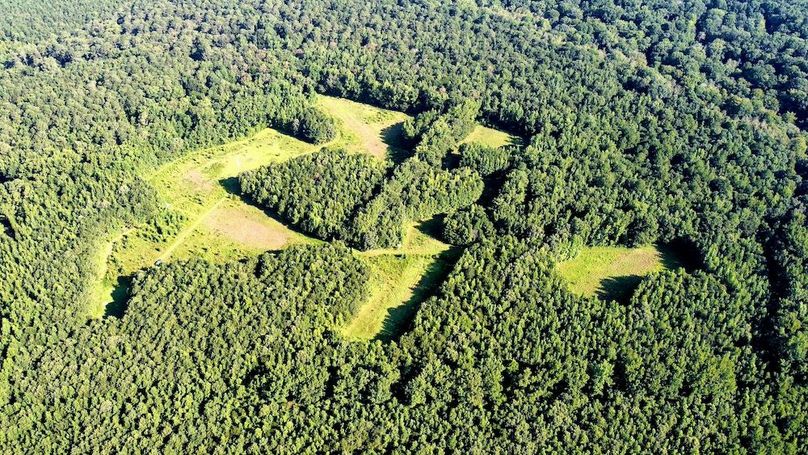 dji_fly_20250726_090628_497_1753535292631_photo_optimized