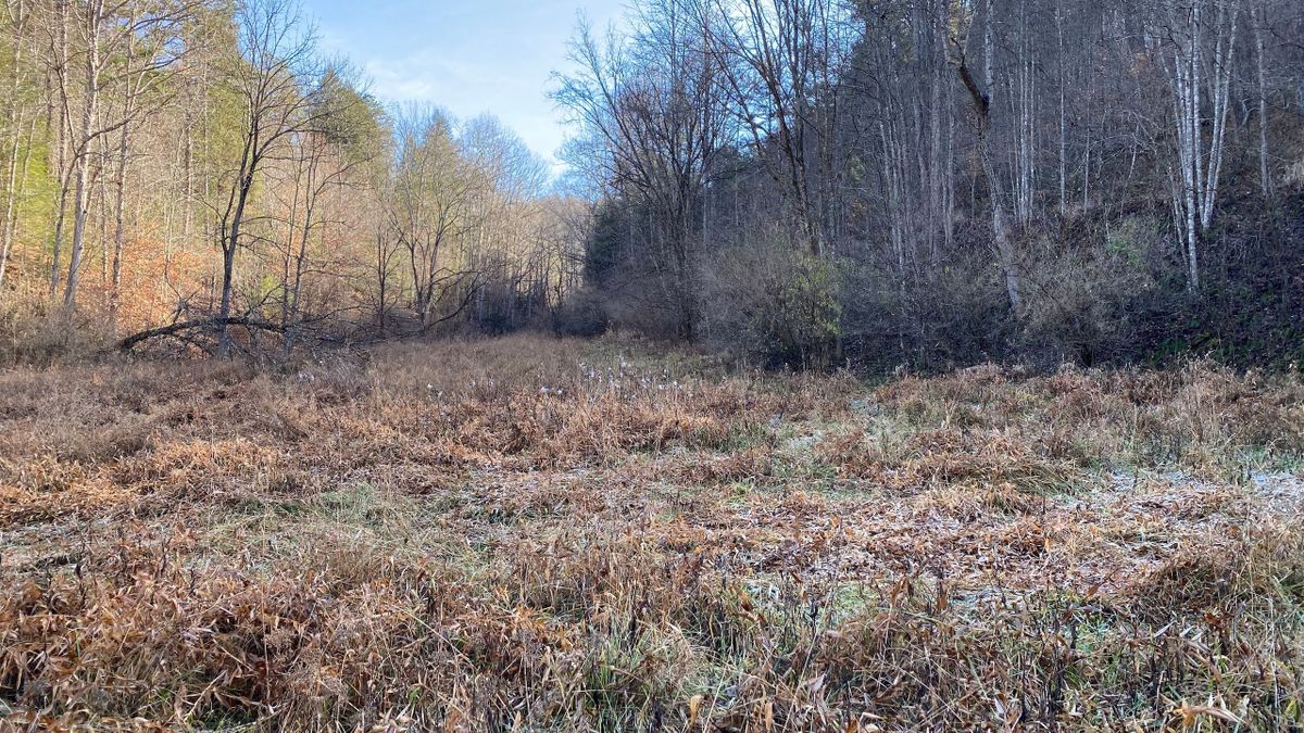 Remote Hunting Escape Whitetail Properties