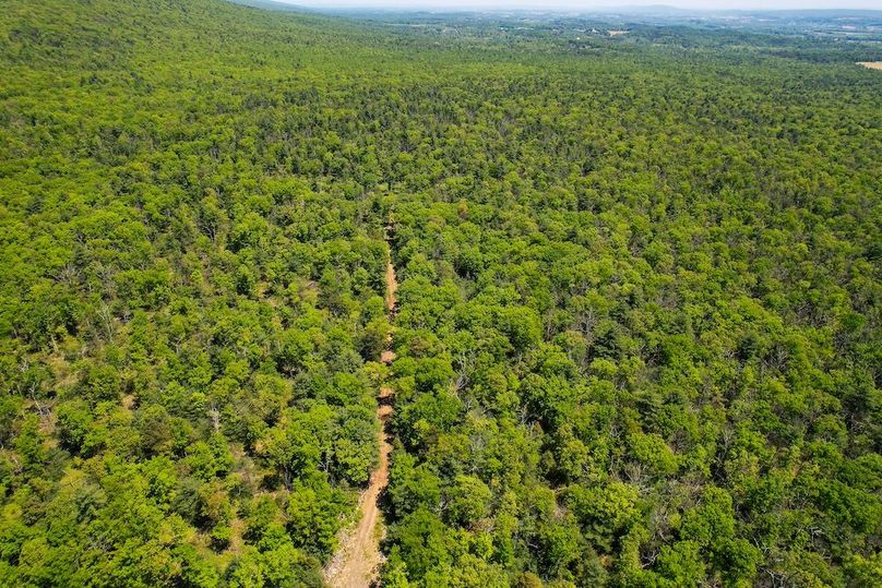 dji_fly_20250512_130046_973_1747069865257_photo