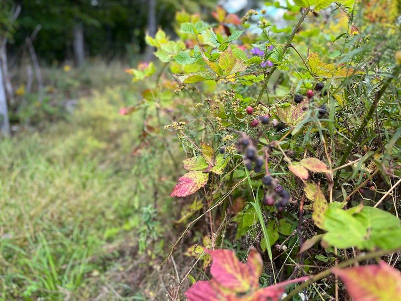 Schuyler_42.08_Austin Photo 31