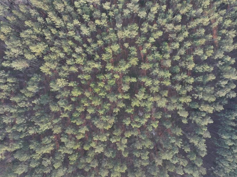 F049 - 117 Acres - Drone-12
