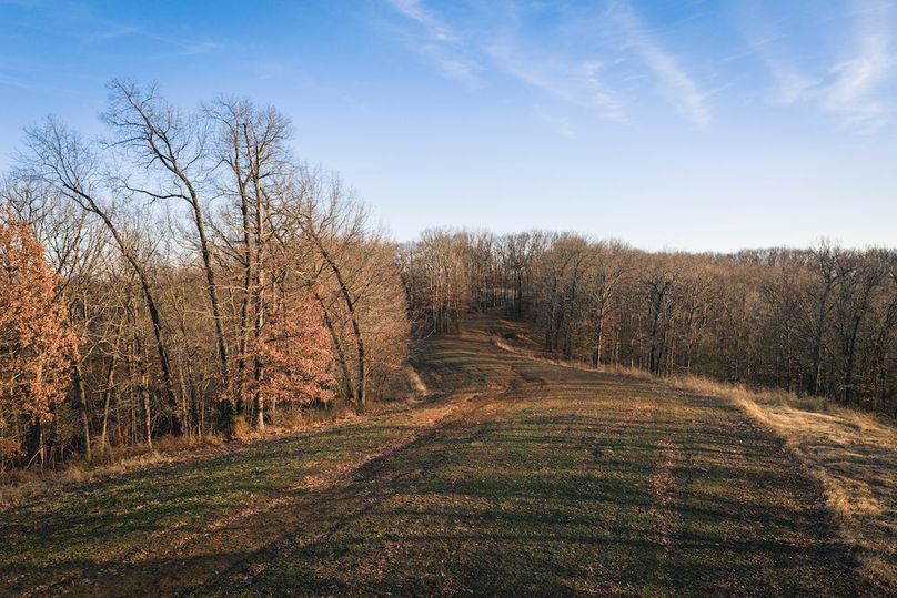 DJI_20260218164524_0645_D