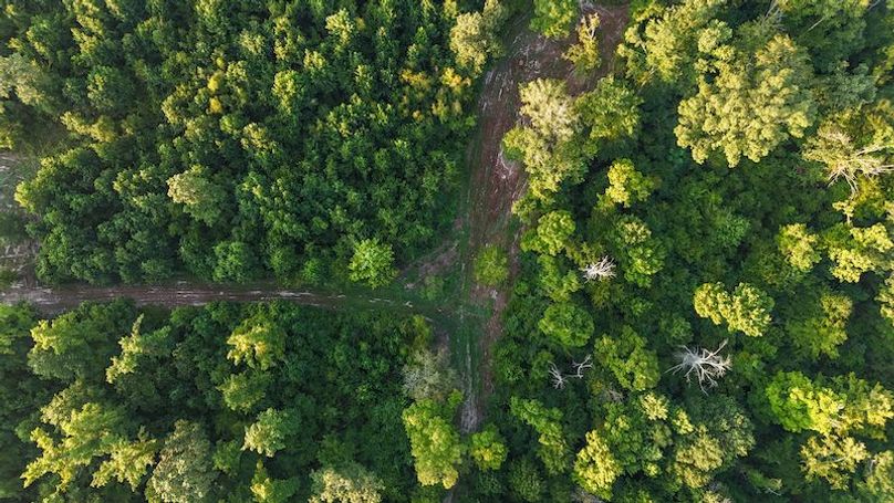 Ashley Co-40-Givens-63